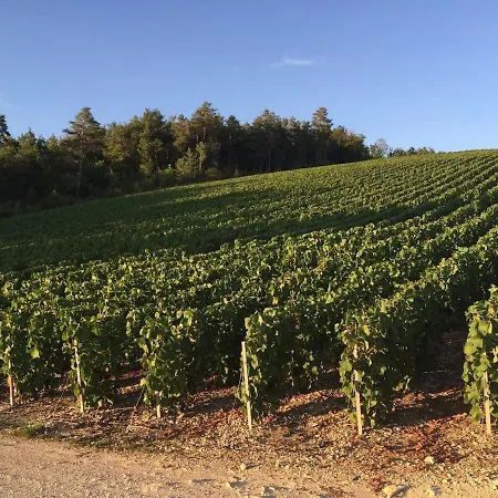 Champenois Les Voisins Cunfin