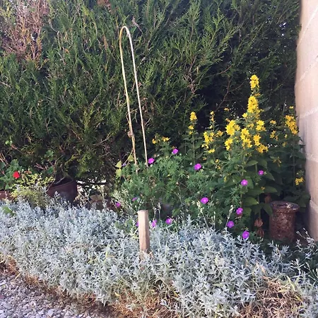 Champenois Les Voisins