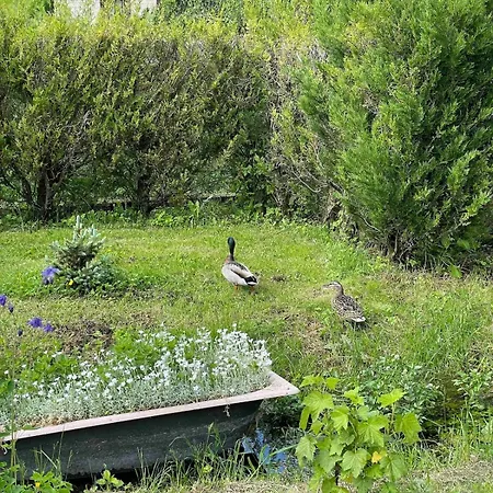 Dom wakacyjny Champenois Les Voisins Cunfin