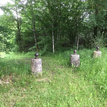 Champenois Les Voisins Cunfin