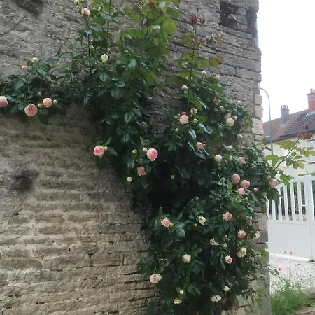 Champenois Les Voisins