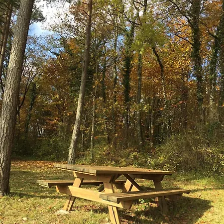 Champenois Les Voisins Dom wakacyjny