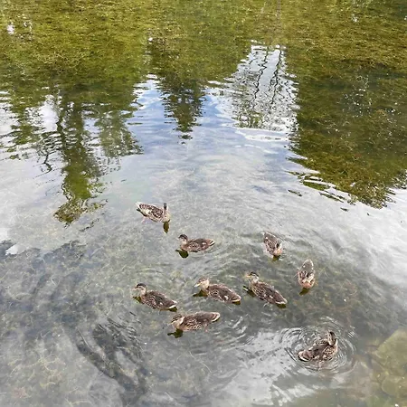 Champenois Les Voisins Dom wakacyjny Cunfin