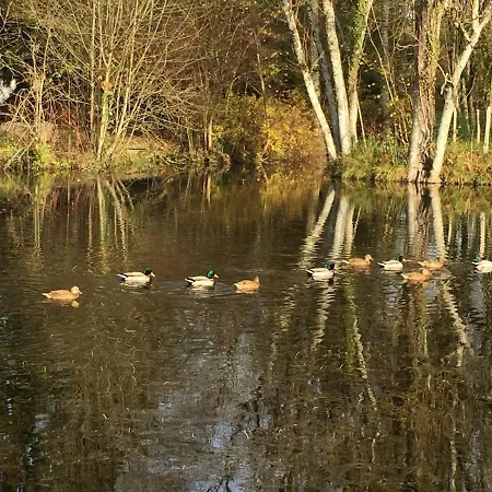 Dom wakacyjny Champenois Les Voisins *