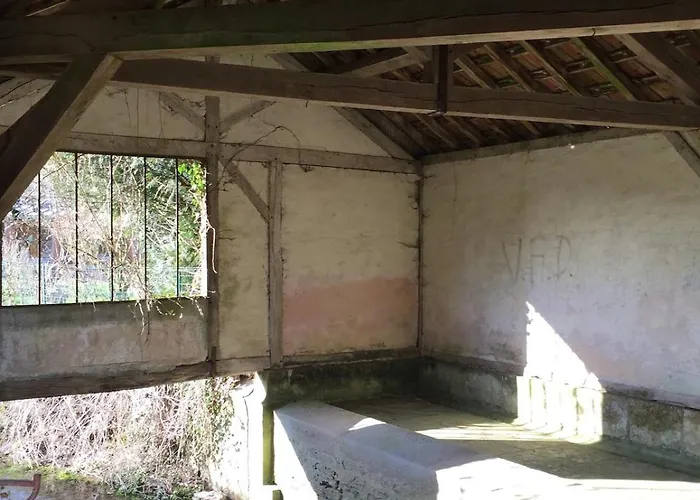 Champenois Les Voisins * Cunfin