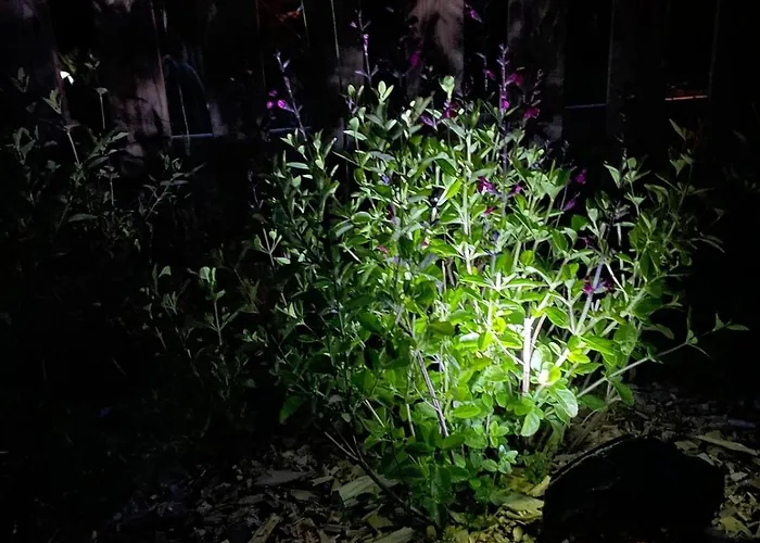 Champenois Les Voisins Holiday home Cunfin