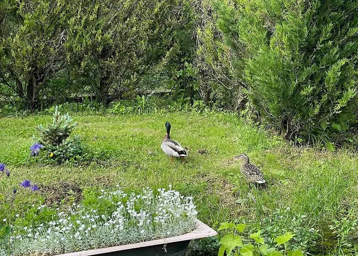 Holiday home Champenois Les Voisins Cunfin