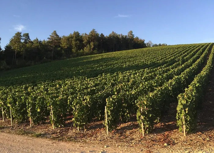 Holiday home Champenois Les Voisins *