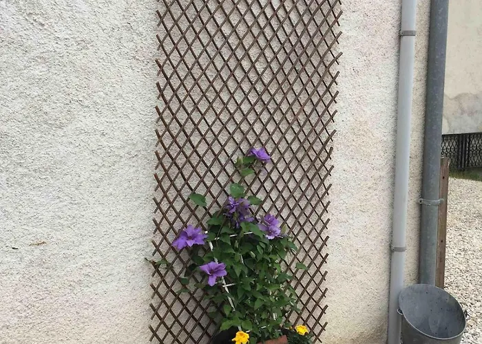 Champenois Les Voisins Holiday home *