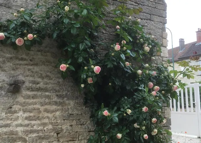 Champenois Les Voisins