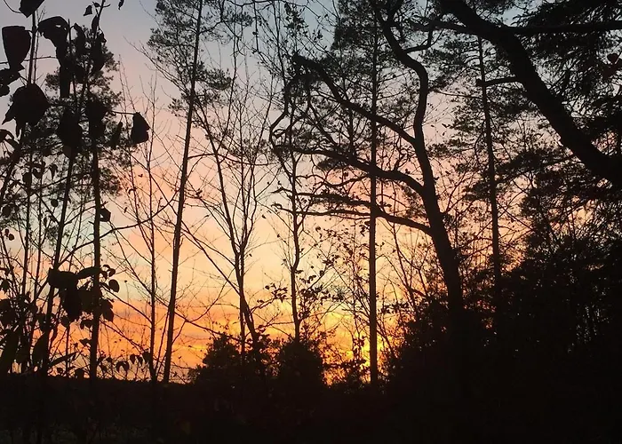 Champenois Les Voisins Holiday home *