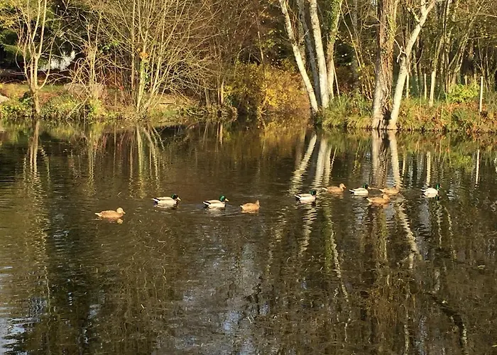 Holiday home Champenois Les Voisins *