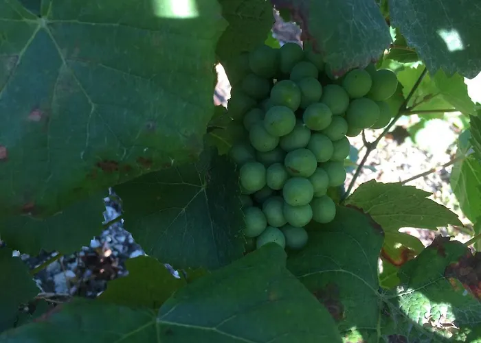 Holiday home Champenois Les Voisins Cunfin