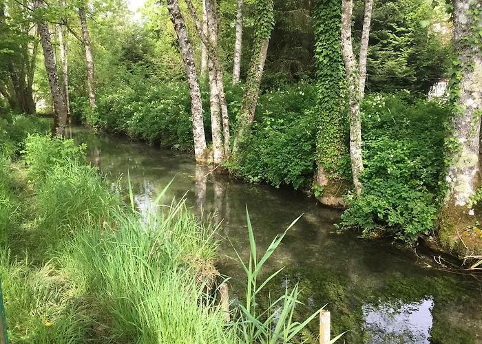 Champenois Les Voisins *