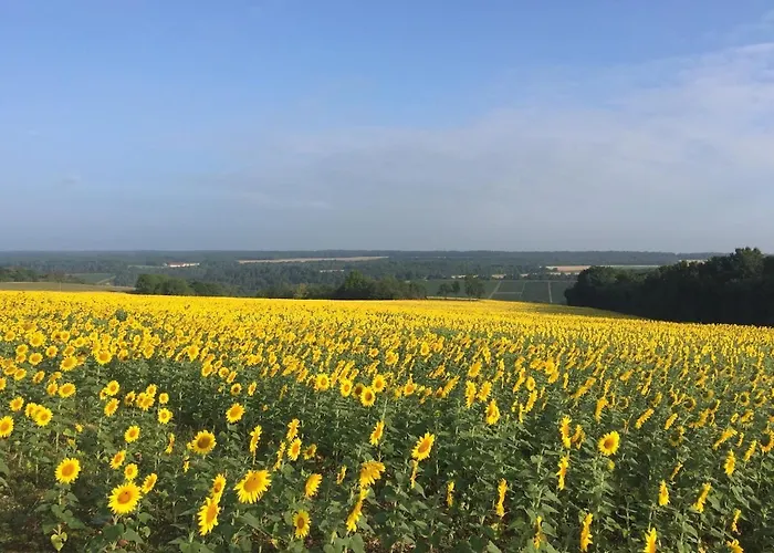 Holiday home Champenois Les Voisins *