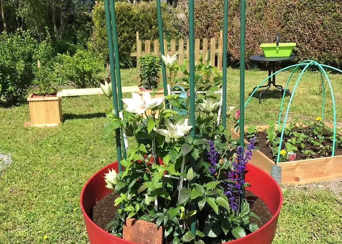 Champenois Les Voisins * Cunfin